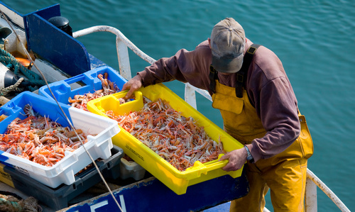 Enim pêcheurs | Pension de reversion pêcheurs et marins