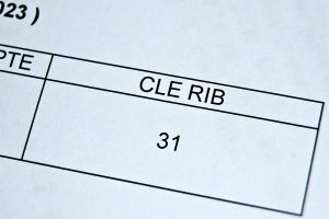 RIB