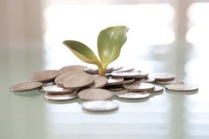 déclaration revenu plante pièces de monnaie