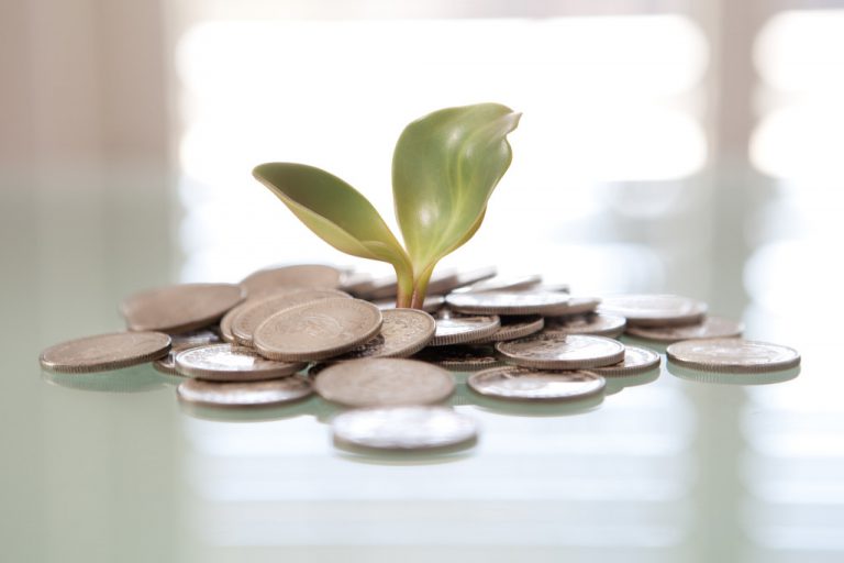 déclaration revenu plante pièces de monnaie