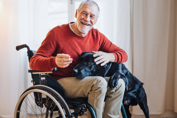 A disabled senior man in wheelchair indoors playing with a pet dog at home. | Pension de reversion ehpad et animal de compagnie