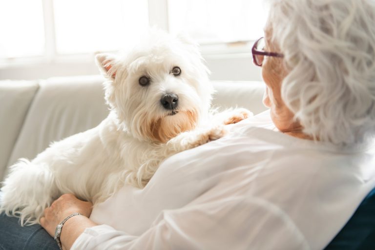 senior et animal
