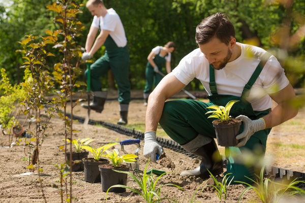 Creating a beautiful garden from scratch | Pension de reversion chèque jardinage