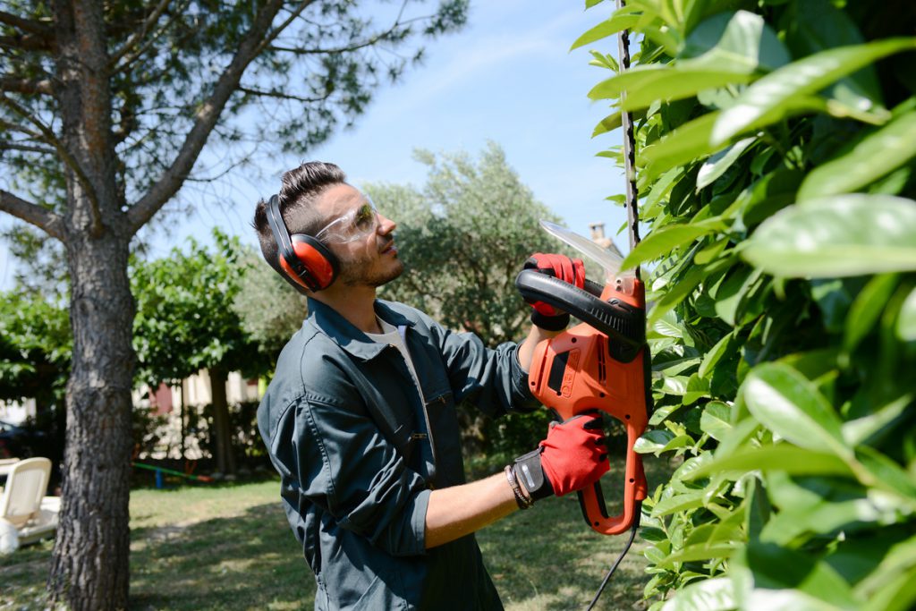 handsome young man gardener trimming hedgerow in a park outdoor | Pension de reversion CESU Jardinage