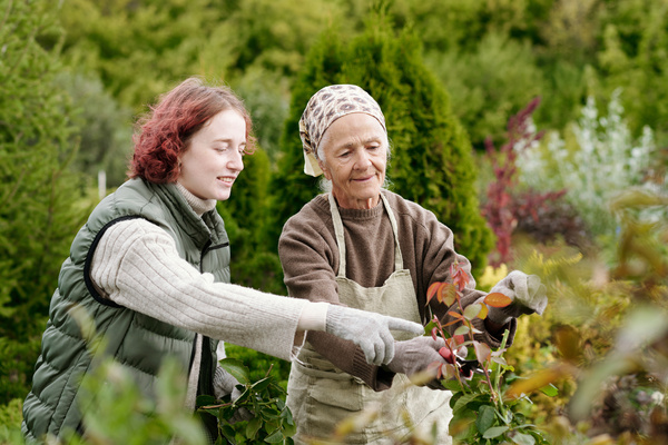 Young girl pointing at rose bush while helping grandmother in the garden | Pension de reversion Village senior