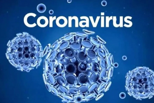 Coronavirus en 2020